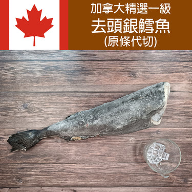 加拿大一級去頭銀鱈魚